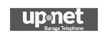 Baraga Telephone Co./UP.net